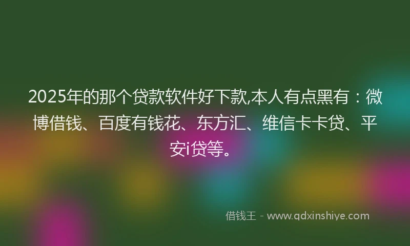 2025年的那个贷款软件好下款,本人有点黑有：微博借钱、百度有钱花、东方汇、维信卡卡贷、平安i贷等。