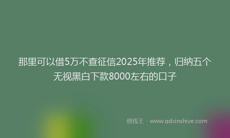 那里可以借5万不查征信2025年推荐，归纳五个无视黑白下款8000左右的口子
