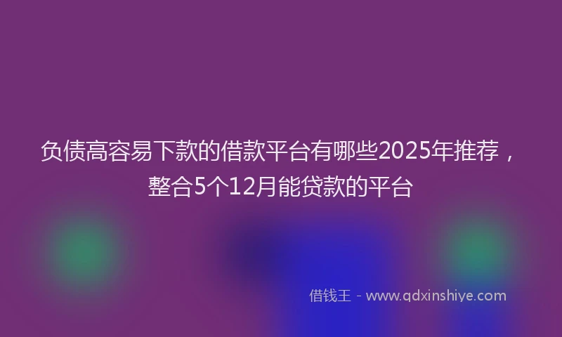 负债高容易下款的借款平台有哪些2025年推荐，整合5个12月能贷款的平台