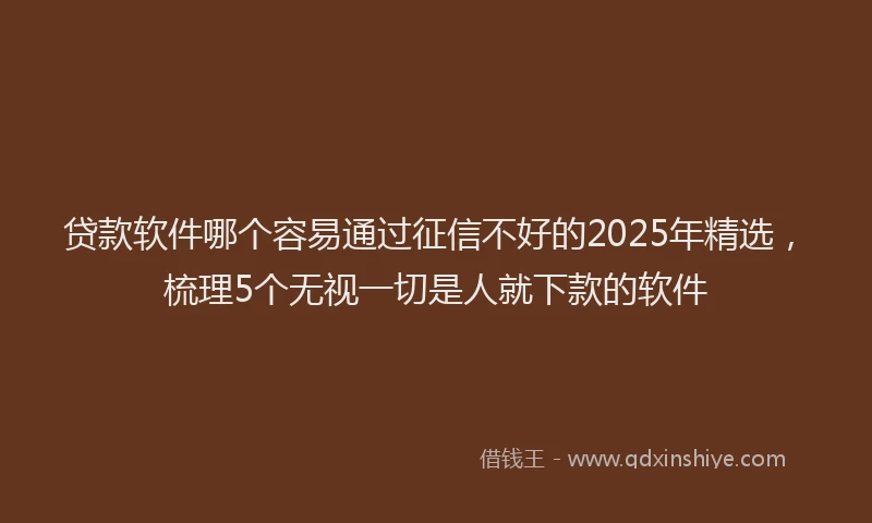 贷款软件哪个容易通过征信不好的2025年精选，梳理5个无视一切是人就下款的软件