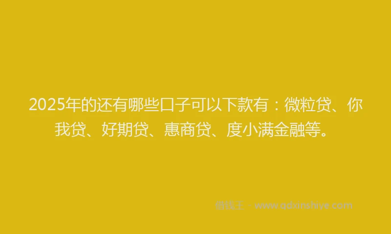 2025年的还有哪些口子可以下款有：微粒贷、你我贷、好期贷、惠商贷、度小满金融等。