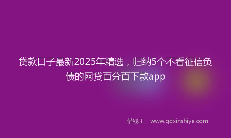 贷款口子最新2025年精选，归纳5个不看征信负债的网贷百分百下款app