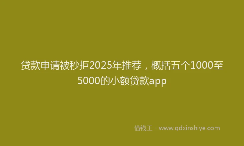 贷款申请被秒拒2025年推荐，概括五个1000至5000的小额贷款app