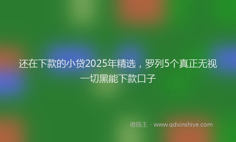还在下款的小贷2025年精选，罗列5个真正无视一切黑能下款口子