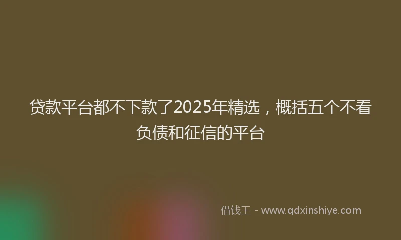 贷款平台都不下款了2025年精选，概括五个不看负债和征信的平台
