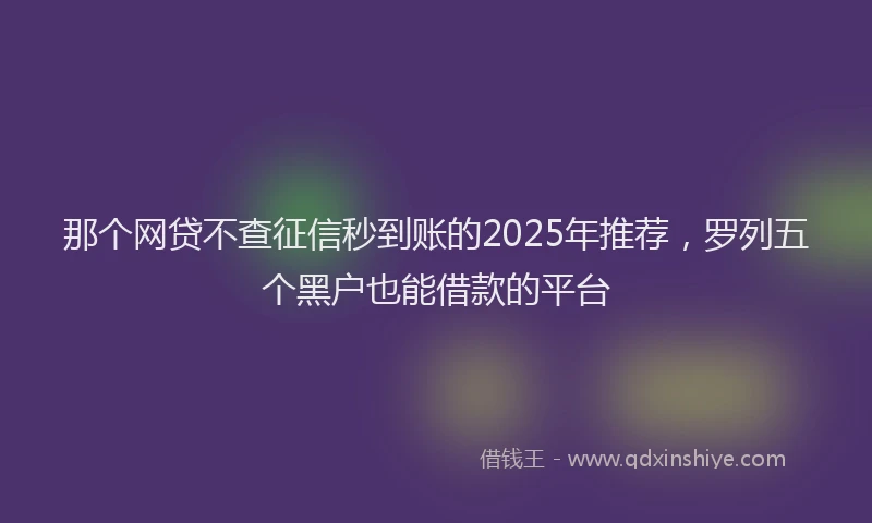 那个网贷不查征信秒到账的2025年推荐，罗列五个黑户也能借款的平台