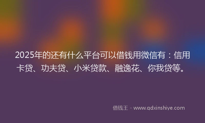 2025年的还有什么平台可以借钱用微信有：信用卡贷、功夫贷、小米贷款、融逸花、你我贷等。