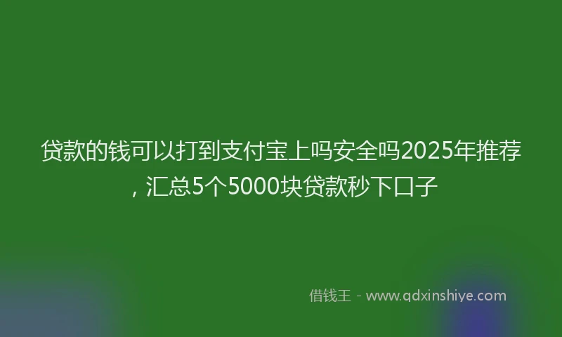 贷款的钱可以打到支付宝上吗安全吗2025年推荐，汇总5个5000块贷款秒下口子