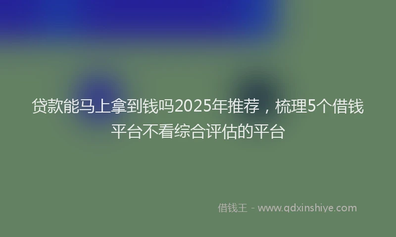 贷款能马上拿到钱吗2025年推荐，梳理5个借钱平台不看综合评估的平台
