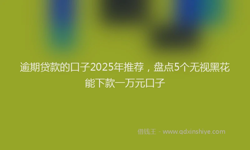 逾期贷款的口子2025年推荐，盘点5个无视黑花能下款一万元口子