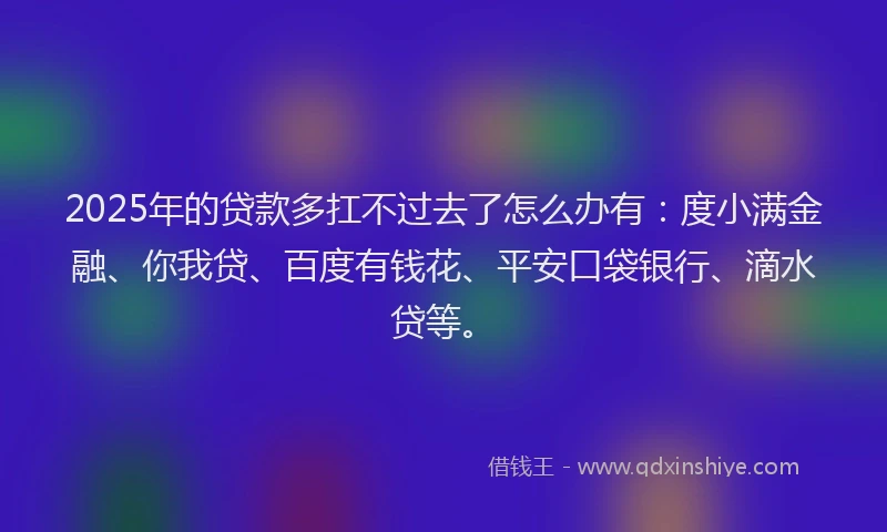2025年的贷款多扛不过去了怎么办有：度小满金融、你我贷、百度有钱花、平安口袋银行、滴水贷等。