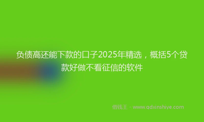 负债高还能下款的口子2025年精选，概括5个贷款好做不看征信的软件