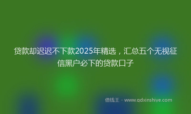 贷款却迟迟不下款2025年精选，汇总五个无视征信黑户必下的贷款口子