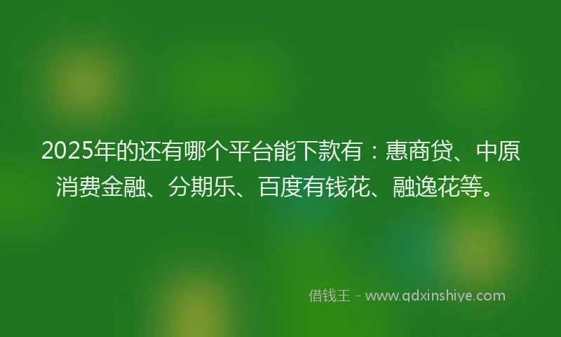 2025年的还有哪个平台能下款有：惠商贷、中原消费金融、分期乐、百度有钱花、融逸花等。