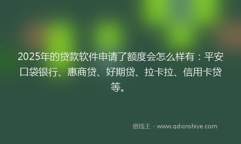 2025年的贷款软件申请了额度会怎么样有：平安口袋银行、惠商贷、好期贷、拉卡拉、信用卡贷等。