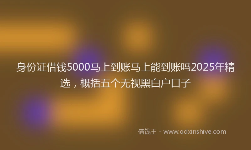 身份证借钱5000马上到账马上能到账吗2025年精选，概括五个无视黑白户口子