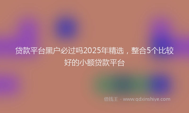 贷款平台黑户必过吗2025年精选，整合5个比较好的小额贷款平台