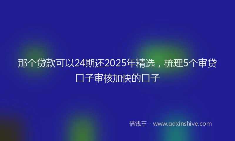 那个贷款可以24期还2025年精选，梳理5个审贷口子审核加快的口子