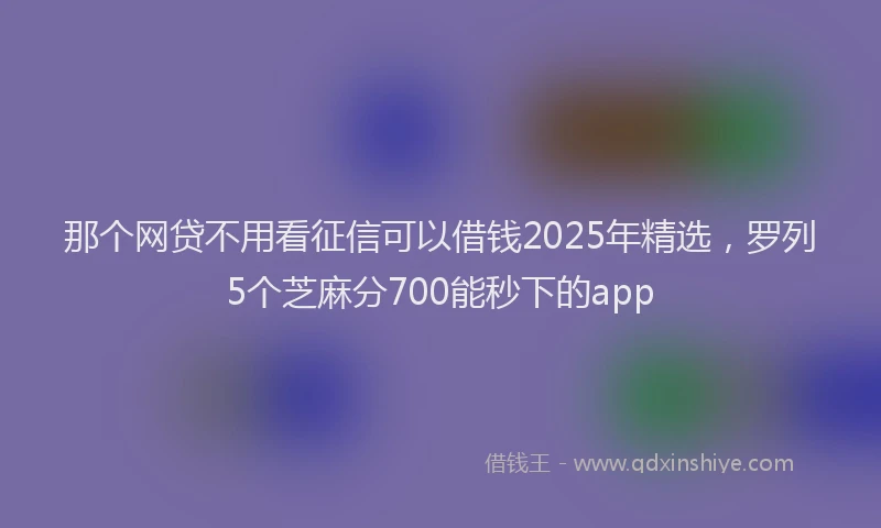 那个网贷不用看征信可以借钱2025年精选，罗列5个芝麻分700能秒下的app