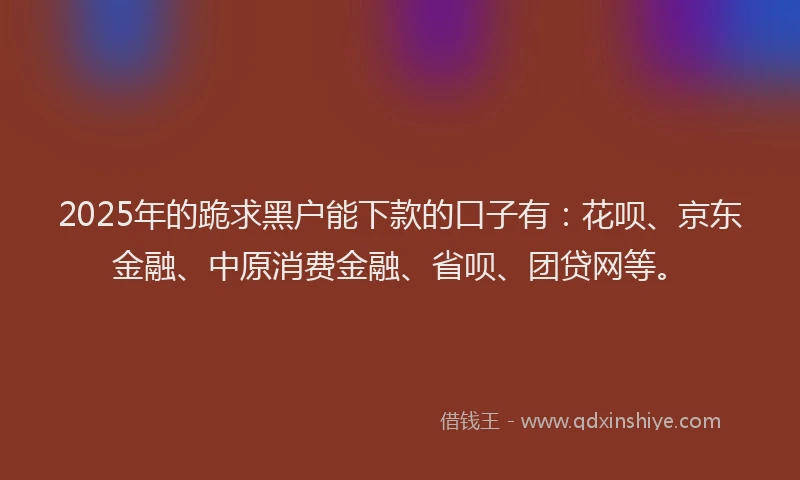 2025年的跪求黑户能下款的口子有：花呗、京东金融、中原消费金融、省呗、团贷网等。