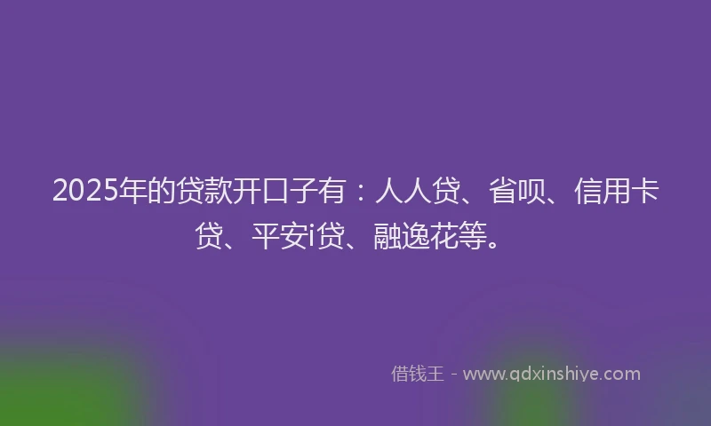 2025年的贷款开口子有：人人贷、省呗、信用卡贷、平安i贷、融逸花等。