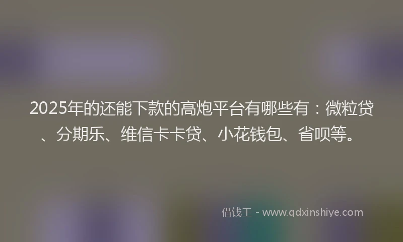 2025年的还能下款的高炮平台有哪些有：微粒贷、分期乐、维信卡卡贷、小花钱包、省呗等。