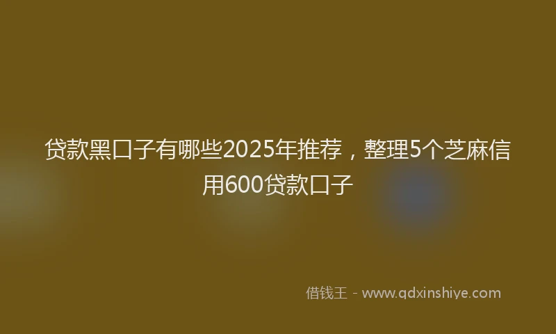 贷款黑口子有哪些2025年推荐，整理5个芝麻信用600贷款口子