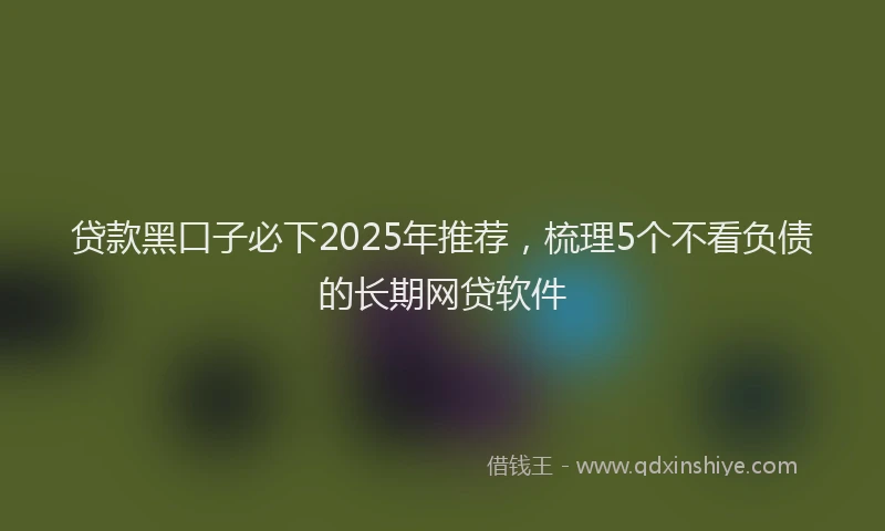 贷款黑口子必下2025年推荐，梳理5个不看负债的长期网贷软件