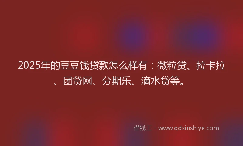 2025年的豆豆钱贷款怎么样有：微粒贷、拉卡拉、团贷网、分期乐、滴水贷等。