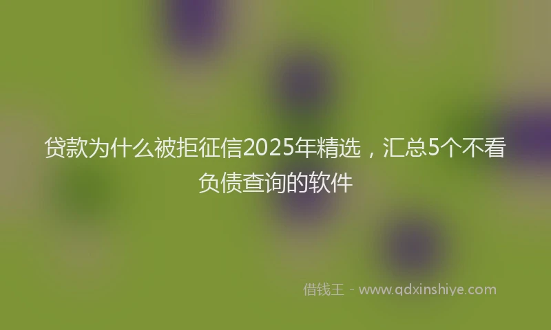贷款为什么被拒征信2025年精选，汇总5个不看负债查询的软件