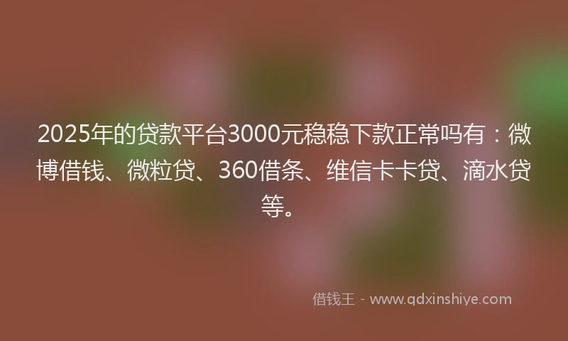 2025年的贷款平台3000元稳稳下款正常吗有：微博借钱、微粒贷、360借条、维信卡卡贷、滴水贷等。
