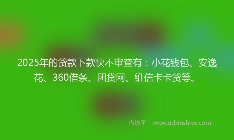 2025年的贷款下款快不审查有：小花钱包、安逸花、360借条、团贷网、维信卡卡贷等。