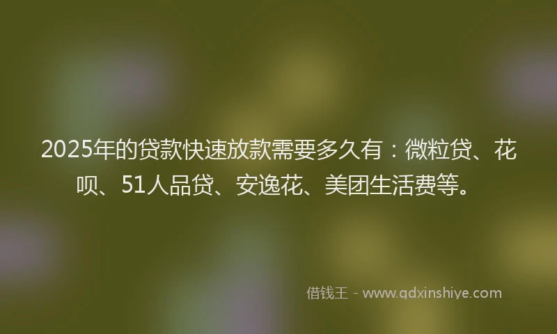 2025年的贷款快速放款需要多久有：微粒贷、花呗、51人品贷、安逸花、美团生活费等。