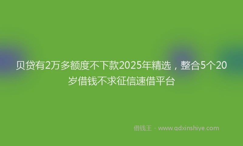贝贷有2万多额度不下款2025年精选，整合5个20岁借钱不求征信速借平台