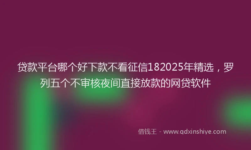 贷款平台哪个好下款不看征信182025年精选，罗列五个不审核夜间直接放款的网贷软件