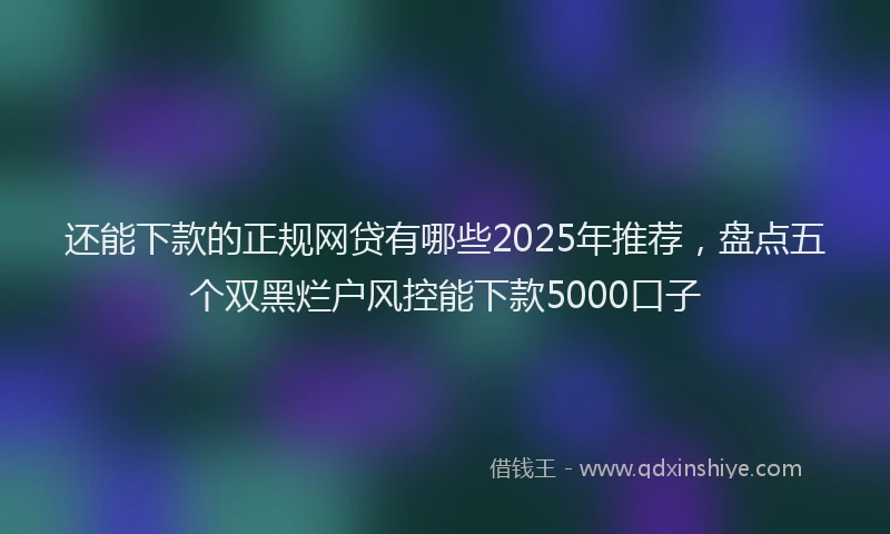 还能下款的正规网贷有哪些2025年推荐，盘点五个双黑烂户风控能下款5000口子