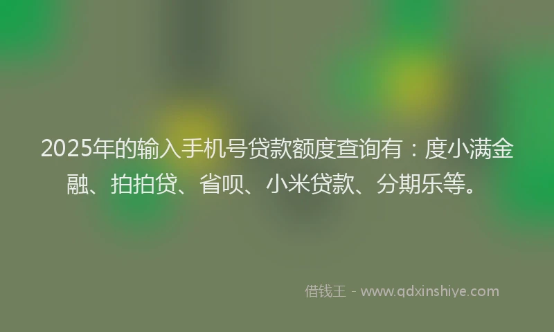 2025年的输入手机号贷款额度查询有：度小满金融、拍拍贷、省呗、小米贷款、分期乐等。