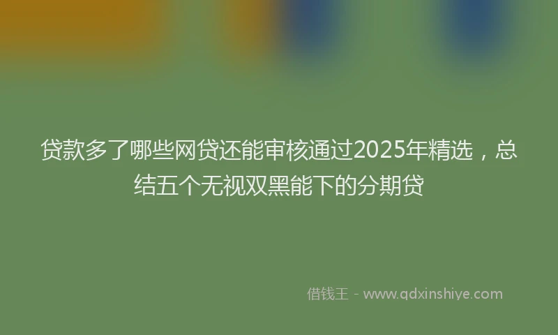 贷款多了哪些网贷还能审核通过2025年精选，总结五个无视双黑能下的分期贷