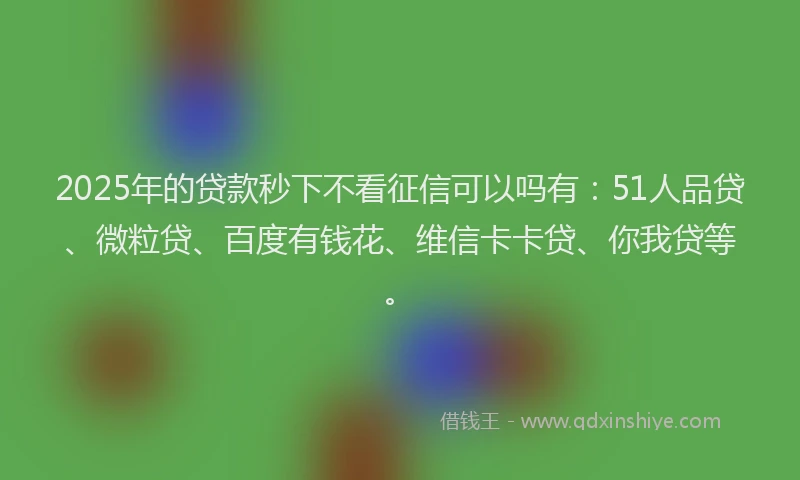 2025年的贷款秒下不看征信可以吗有：51人品贷、微粒贷、百度有钱花、维信卡卡贷、你我贷等。
