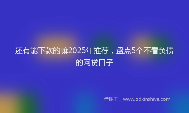 还有能下款的嘛2025年推荐，盘点5个不看负债的网贷口子