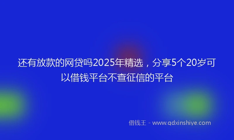 还有放款的网贷吗2025年精选，分享5个20岁可以借钱平台不查征信的平台