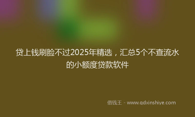 贷上钱刷脸不过2025年精选，汇总5个不查流水的小额度贷款软件