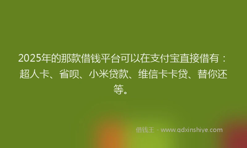2025年的那款借钱平台可以在支付宝直接借有：超人卡、省呗、小米贷款、维信卡卡贷、替你还等。