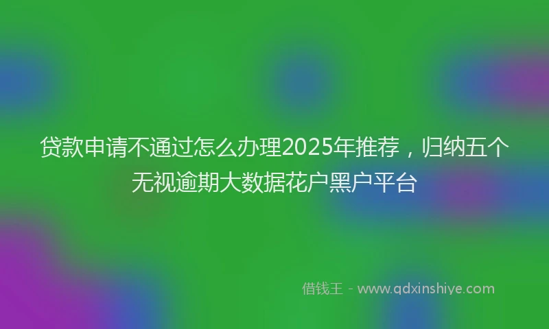 贷款申请不通过怎么办理2025年推荐，归纳五个无视逾期大数据花户黑户平台