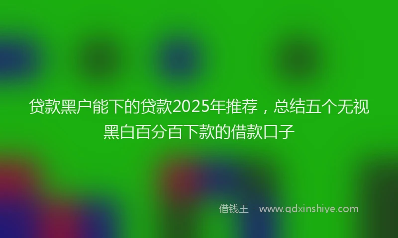 贷款黑户能下的贷款2025年推荐，总结五个无视黑白百分百下款的借款口子