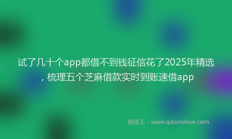 试了几十个app都借不到钱征信花了2025年精选，梳理五个芝麻借款实时到账速借app