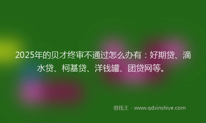 2025年的贝才终审不通过怎么办有：好期贷、滴水贷、柯基贷、洋钱罐、团贷网等。