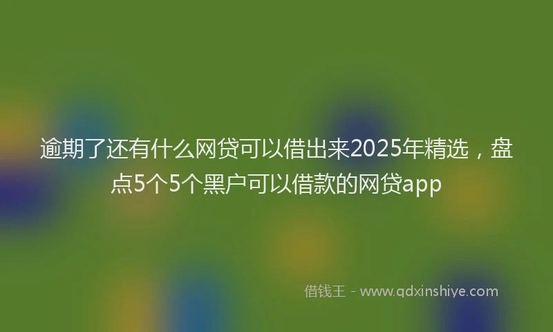 逾期了还有什么网贷可以借出来2025年精选，盘点5个5个黑户可以借款的网贷app
