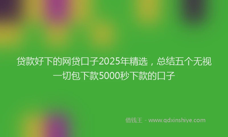 贷款好下的网贷口子2025年精选，总结五个无视一切包下款5000秒下款的口子