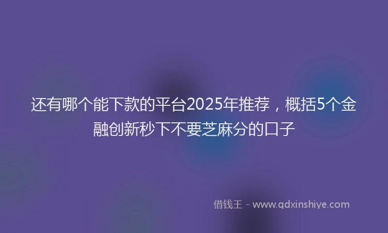 还有哪个能下款的平台2025年推荐，概括5个金融创新秒下不要芝麻分的口子